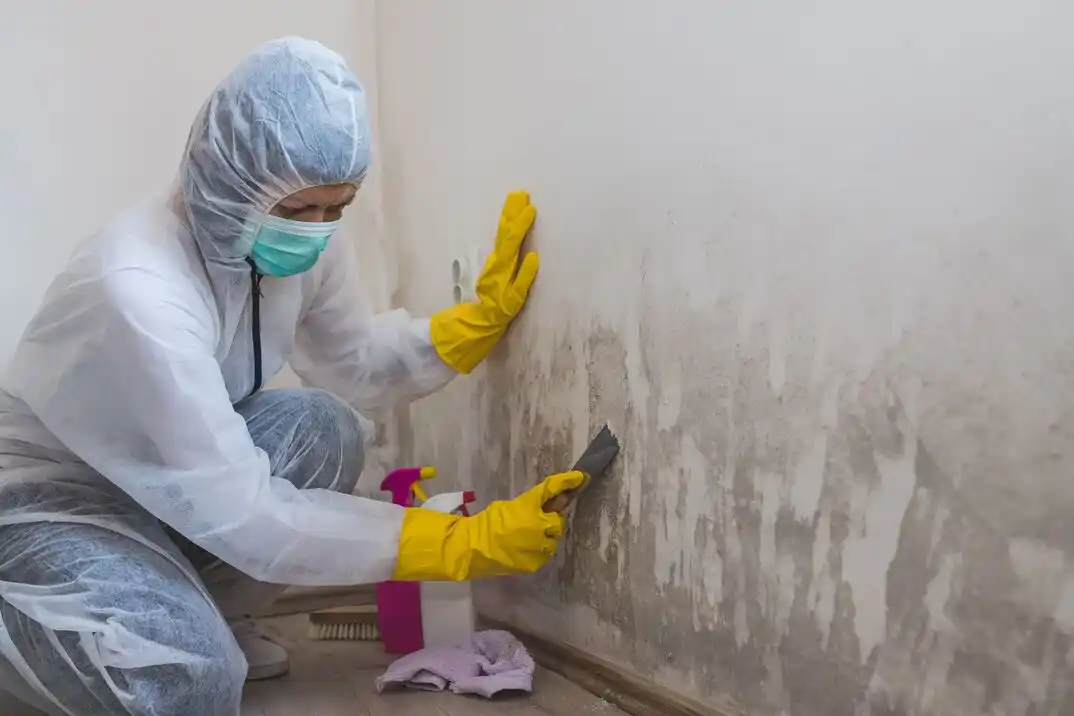 water damage restoration service Kings Mill